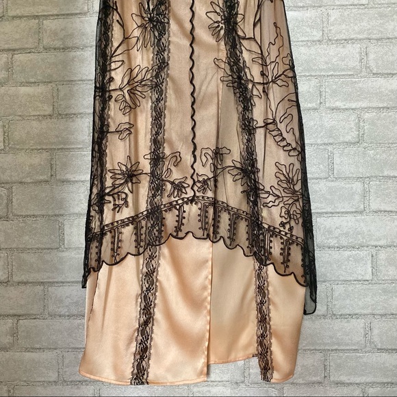 Dusty Daze Flapper Embroidered Sheer Dress - Picture 6 of 14